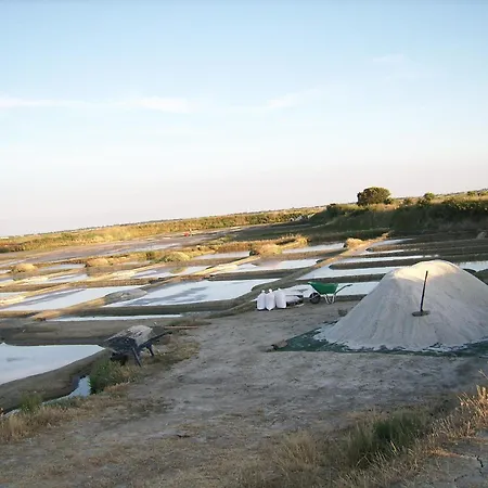 Ty Mes Apartamento *